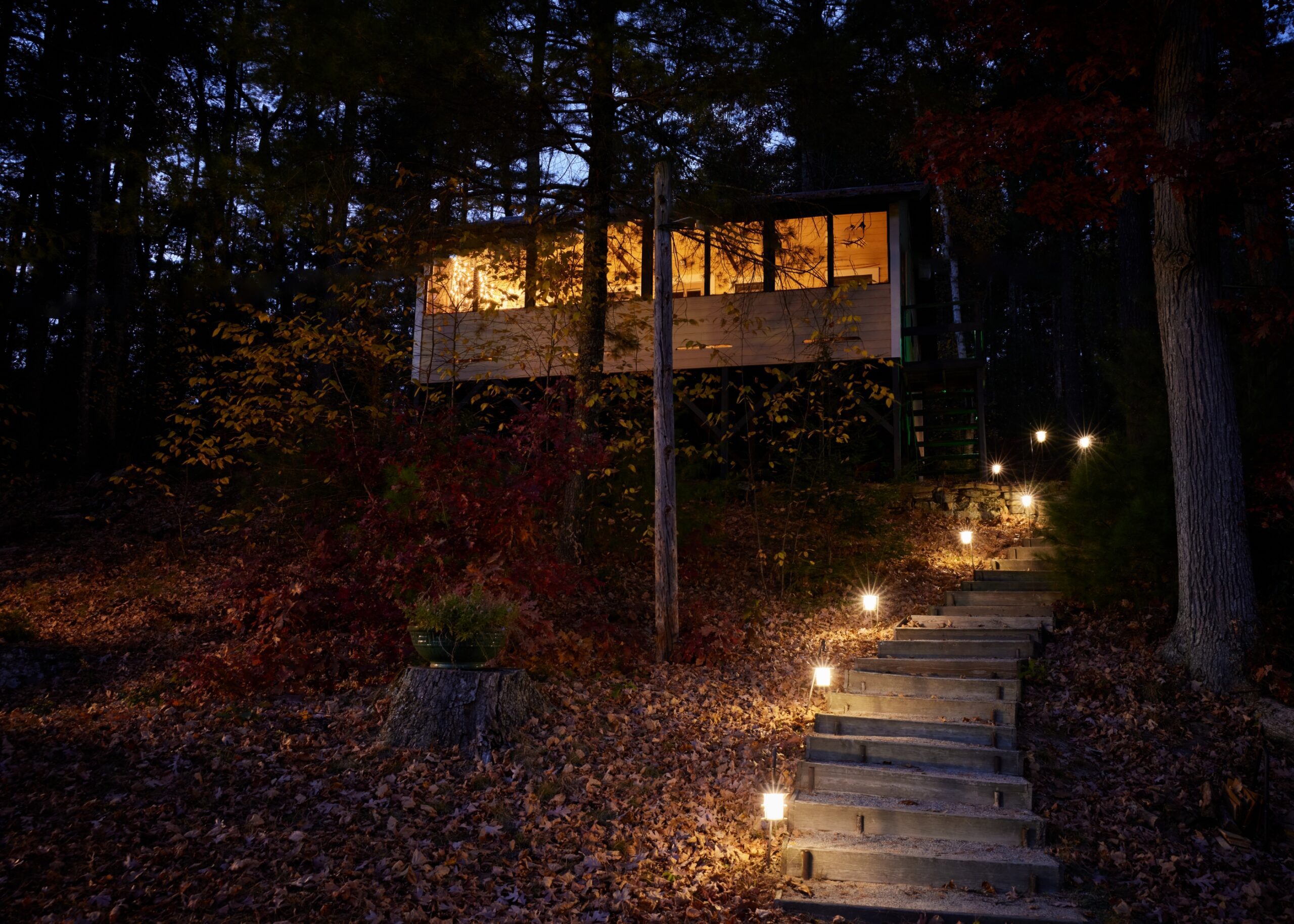 Night path