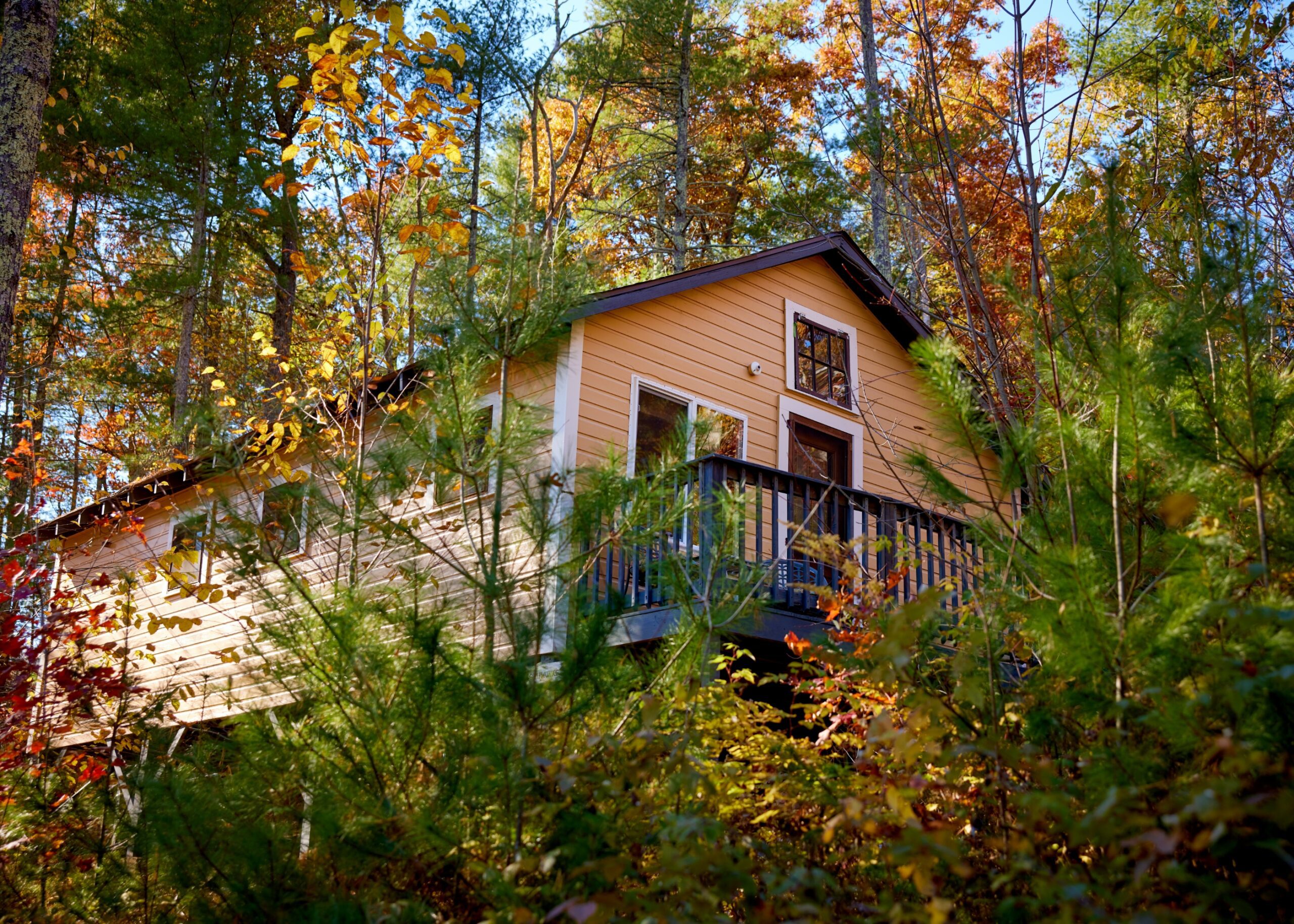 Cabin