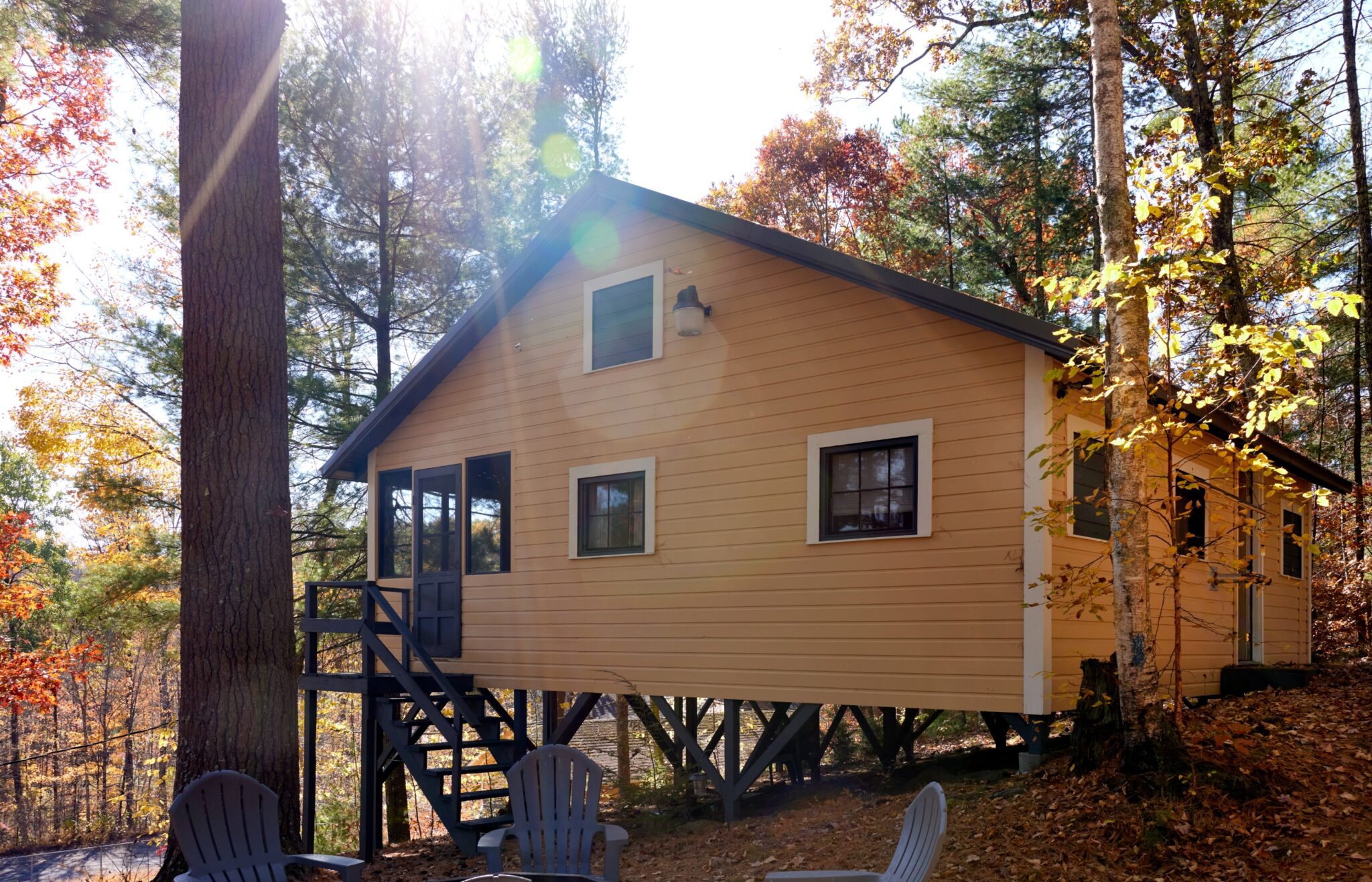 Cabin