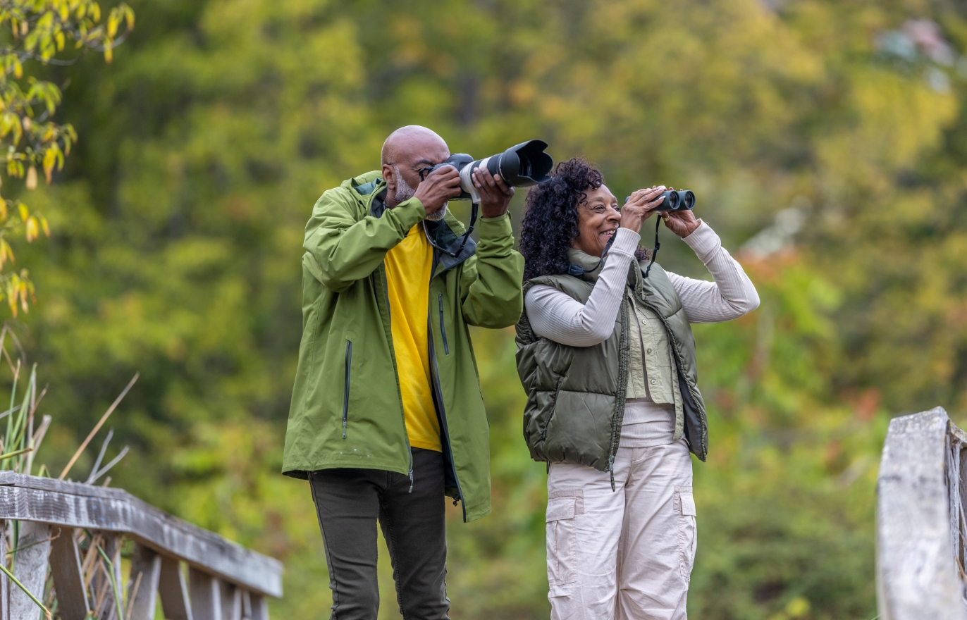 Birding
